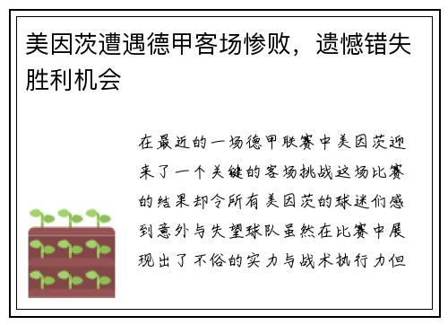 美因茨遭遇德甲客场惨败，遗憾错失胜利机会