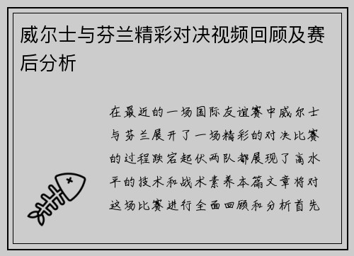 威尔士与芬兰精彩对决视频回顾及赛后分析
