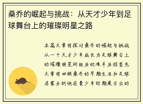 桑乔的崛起与挑战：从天才少年到足球舞台上的璀璨明星之路