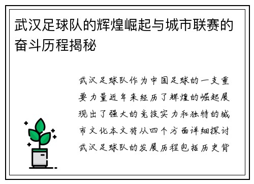 武汉足球队的辉煌崛起与城市联赛的奋斗历程揭秘