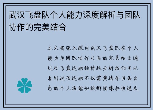 武汉飞盘队个人能力深度解析与团队协作的完美结合